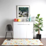 Modern Shoe Cabinet - CHSR019
